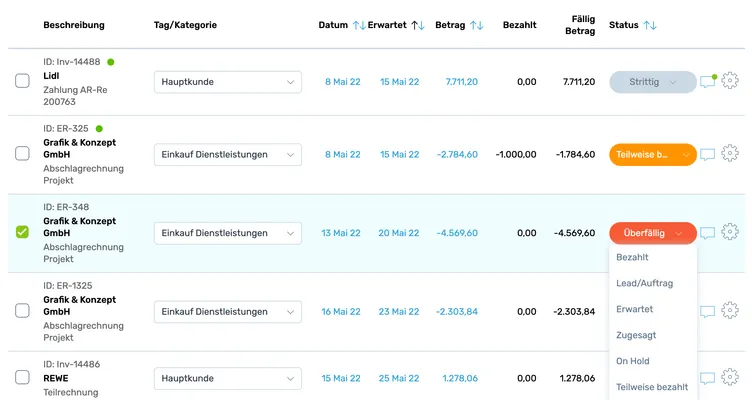 Offene Posten aus DATEV im Plan